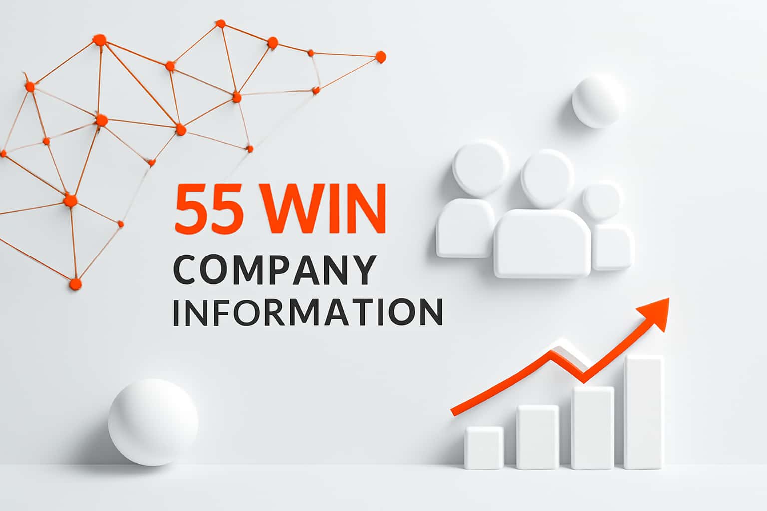 55 Win Company Information Interface